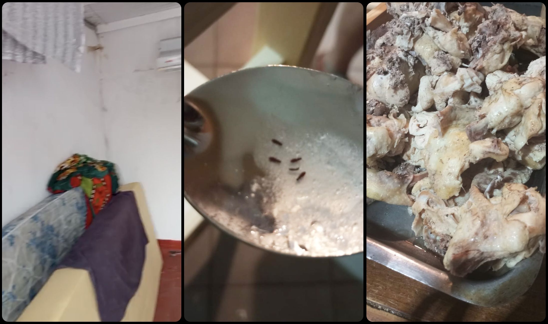 亚星体育官网体育官方app下载｜足球培训阿根廷足球青训黑暗面：冠军工厂背后的残酷系统
